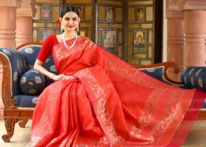 Outfit Saree